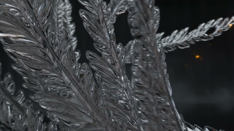 AI-generated video still from the prompt “slow orbit around a glowing glass sculpture of a phoenix, embers drifting”